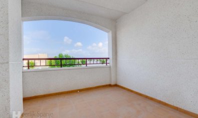 Obra nueva - Apartamento / piso -
San Fulgencio
