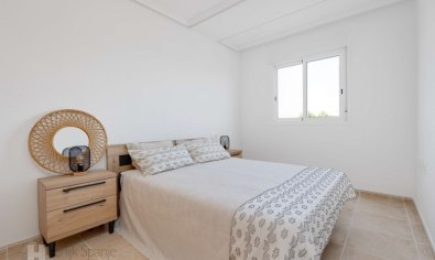 Obra nueva - Apartamento / piso -
San Fulgencio
