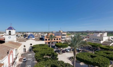 Obra nueva - Apartamento / piso -
San Fulgencio