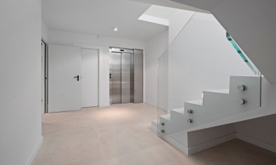 New Build - Villa -
Benidorm