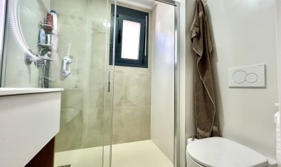 Modern corner apartment with ocean views in Pilar de la Horadada