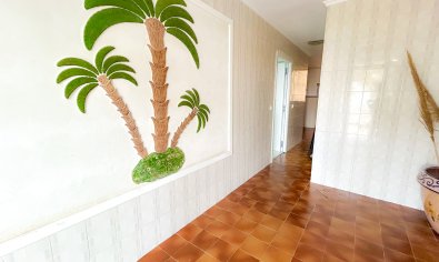 Bestaande bouw - Appartement -
Ciudad Quesada