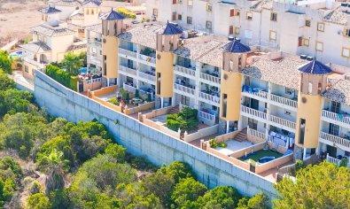 Bestaande bouw - Appartement -
Cabo Roig