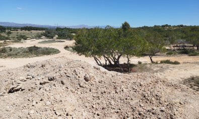 Bestaande bouw - Land and Plots -
San Fulgencio - La Marina