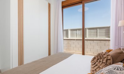 New Build - Villa -
Vera