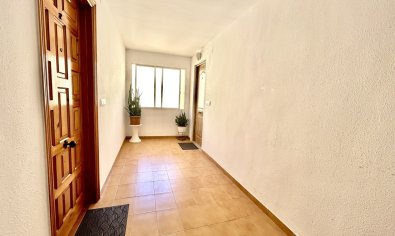 Bestaande bouw - Appartement -
Torrevieja