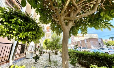 Bestaande bouw - Appartement -
Torrevieja