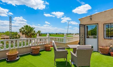 Resale - Finca -
Catral
