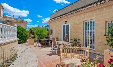 Resale - Finca -
Catral