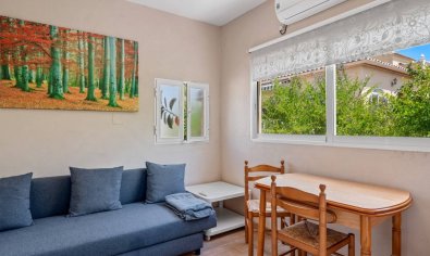 Resale - Finca -
Catral