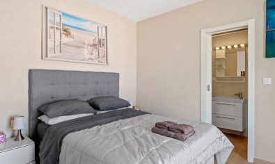 Resale - Finca -
Catral