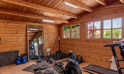 Resale - Finca -
Catral