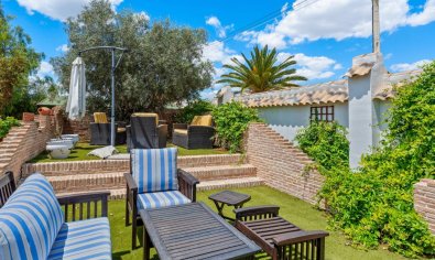 Resale - Finca -
Catral