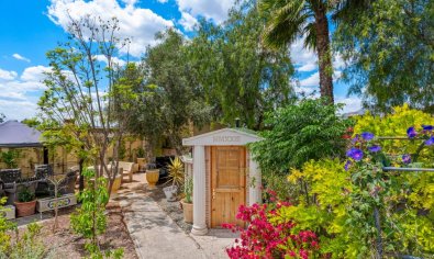 Resale - Finca -
Catral