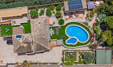 Resale - Finca -
Catral