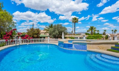 Resale - Finca -
Catral