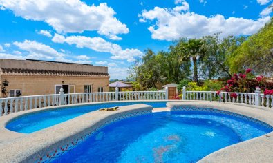 Resale - Finca -
Catral