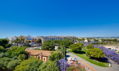 Bestaande bouw - Apartamento -
Torrevieja - Playa del Acequión