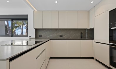New Build - Penthouse -
El Paraíso