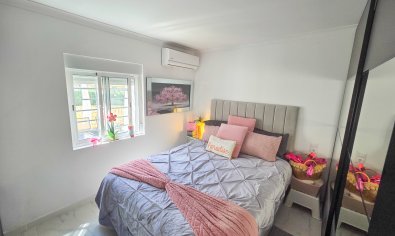 Bestaande bouw - Villa -
Crevillent