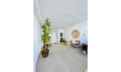 New Build - Bungalow - Solarium -
Pilar de la Horadada