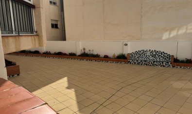 Reventa - Estudio -
Torrevieja - Playa de Los Locos-Curva del Palangre