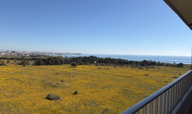 Resale - Penthouse -
Torrevieja - Punta Prima