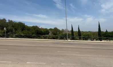 Reventa - Villa -
San Miguel de Salinas - San Miguel Salinas