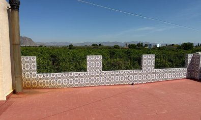 Resale - Townhouse -
Benejúzar