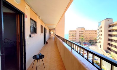 Reventa - Apartamento / piso -
La Mata