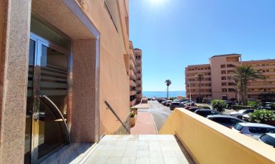 Reventa - Apartamento / piso -
La Mata