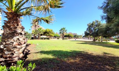 Reventa - Apartamento / piso -
La Mata