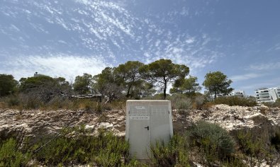 Reventa - Parcela -
Dehesa De Campoamor - Las Colinas Golf Resort