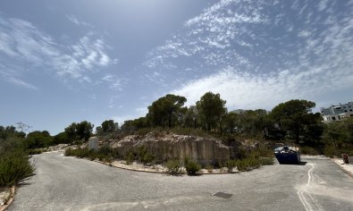 Reventa - Parcela -
Dehesa De Campoamor - Las Colinas Golf Resort