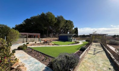 Reventa - Finca -
Torre-Pacheco - Torre Pacheco