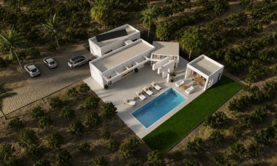 Obra nueva - Villa -
Benejúzar