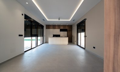 Obra nueva - Villa -
Benejúzar