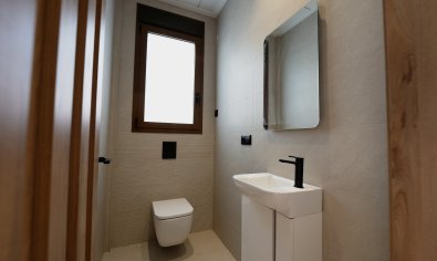 Obra nueva - Villa -
Benejúzar