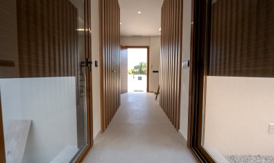 Obra nueva - Villa -
Benejúzar