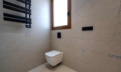 Obra nueva - Villa -
Benejúzar