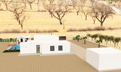 Obra nueva - Villa -
Pinoso