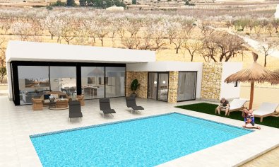 Obra nueva - Villa -
Pinoso