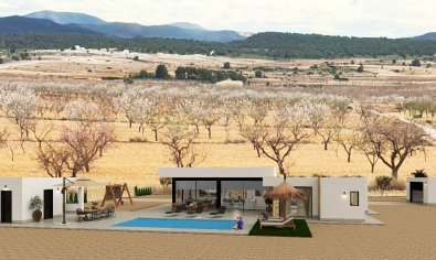 Obra nueva - Villa -
Pinoso