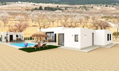 Obra nueva - Villa -
Pinoso