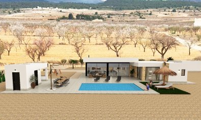 Obra nueva - Villa -
Pinoso