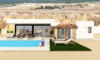 Obra nueva - Villa -
Pinoso