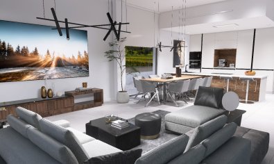 Obra nueva - Villa -
Pinoso