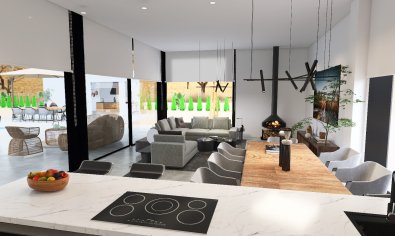Obra nueva - Villa -
Pinoso