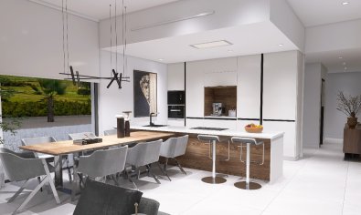 Obra nueva - Villa -
Pinoso