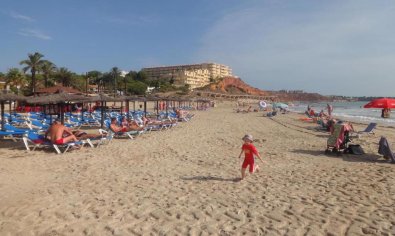 Bestaande bouw - Appartement -
Orihuela Costa - Campoamor